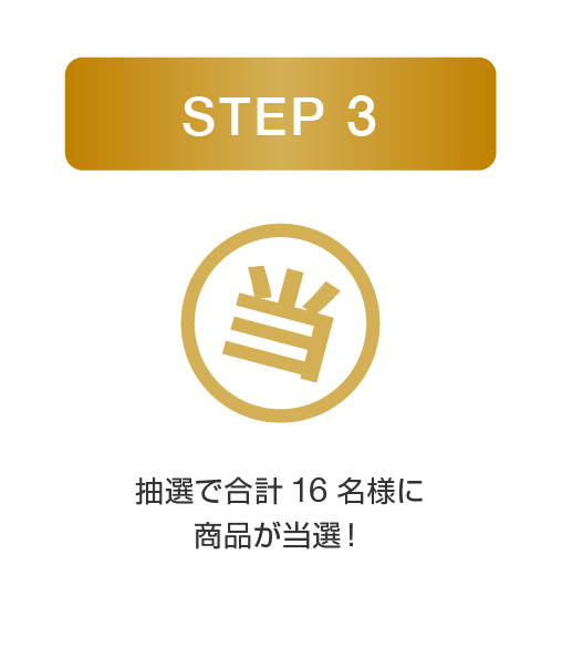 flow-step3