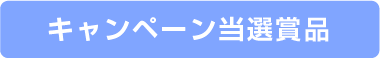 iclever06 応募フロー