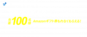 対象商品購入＆レビュー回答でAmazonギフト券もれなく貰える