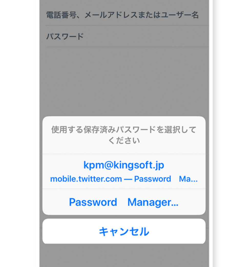 KINGSOFT Password Manager phone